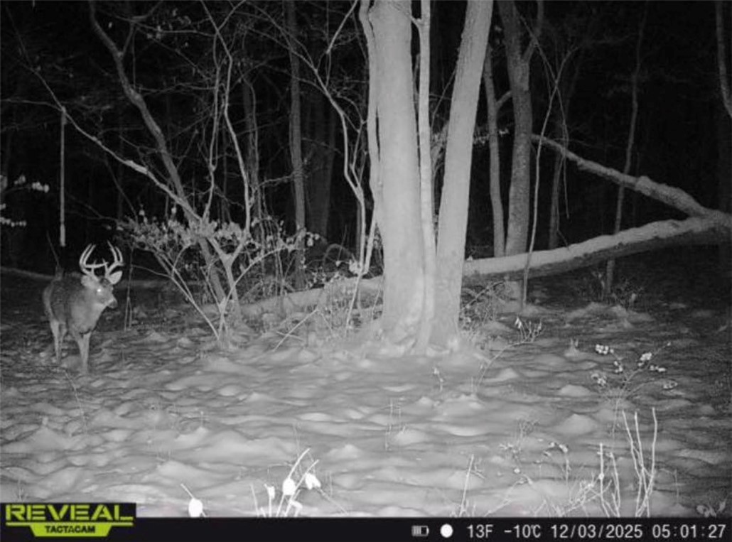Harrison Street Charleston, IL 61920 - Photo 6 of 7