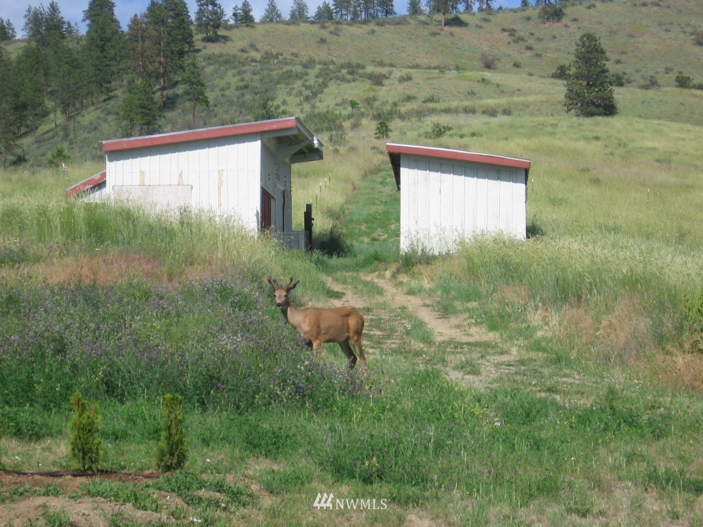 34 Purtteman Gulch Road Chelan, WA 98816 - Photo 14 of 17 Gallery Image 14