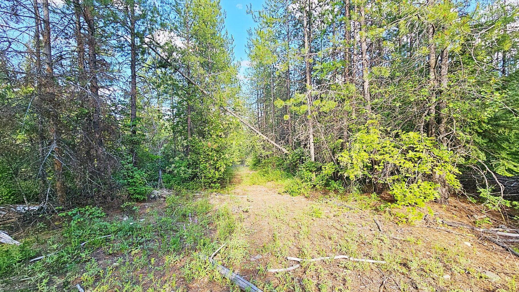 11-xx Orin-Rice Road Colville, WA 99114 - Photo 15 of 21 Gallery Image 15