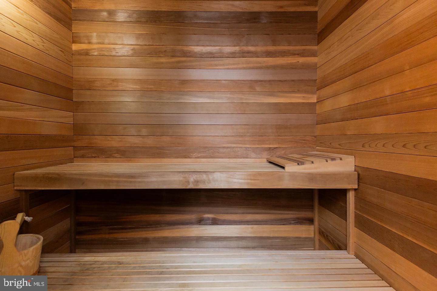 425 East Delp Road Lancaster, PA 17601 - Photo 105 of 119 Lower Level Sauna to elevate your health