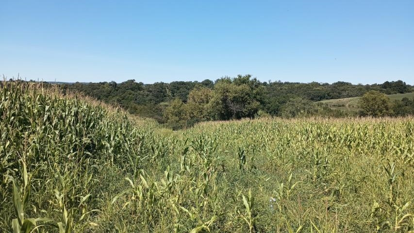357 North Scout Camp Road Stockton, IL 61085 - Photo 2 of 5