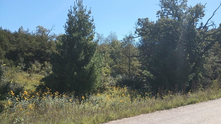 357 North Scout Camp Road Stockton, IL 61085 - Photo 3 of 5