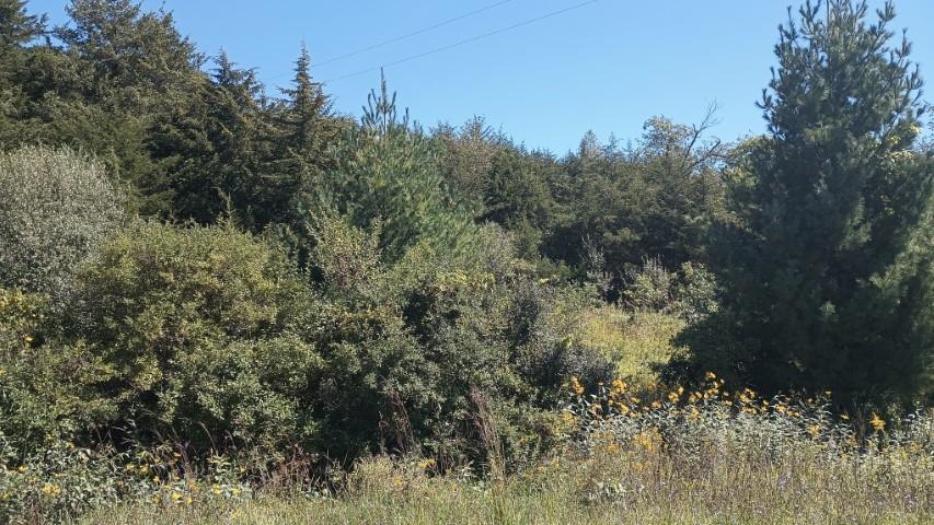 357 North Scout Camp Road Stockton, IL 61085 - Photo 4 of 5