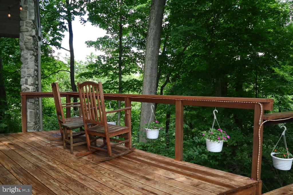 383 Ironstone Ridge Road Lancaster, PA 17603 - Photo 4 of 64