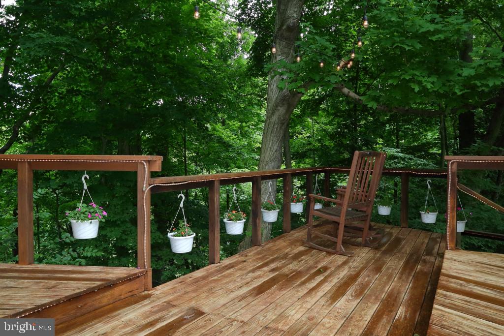 383 Ironstone Ridge Road Lancaster, PA 17603 - Photo 5 of 64