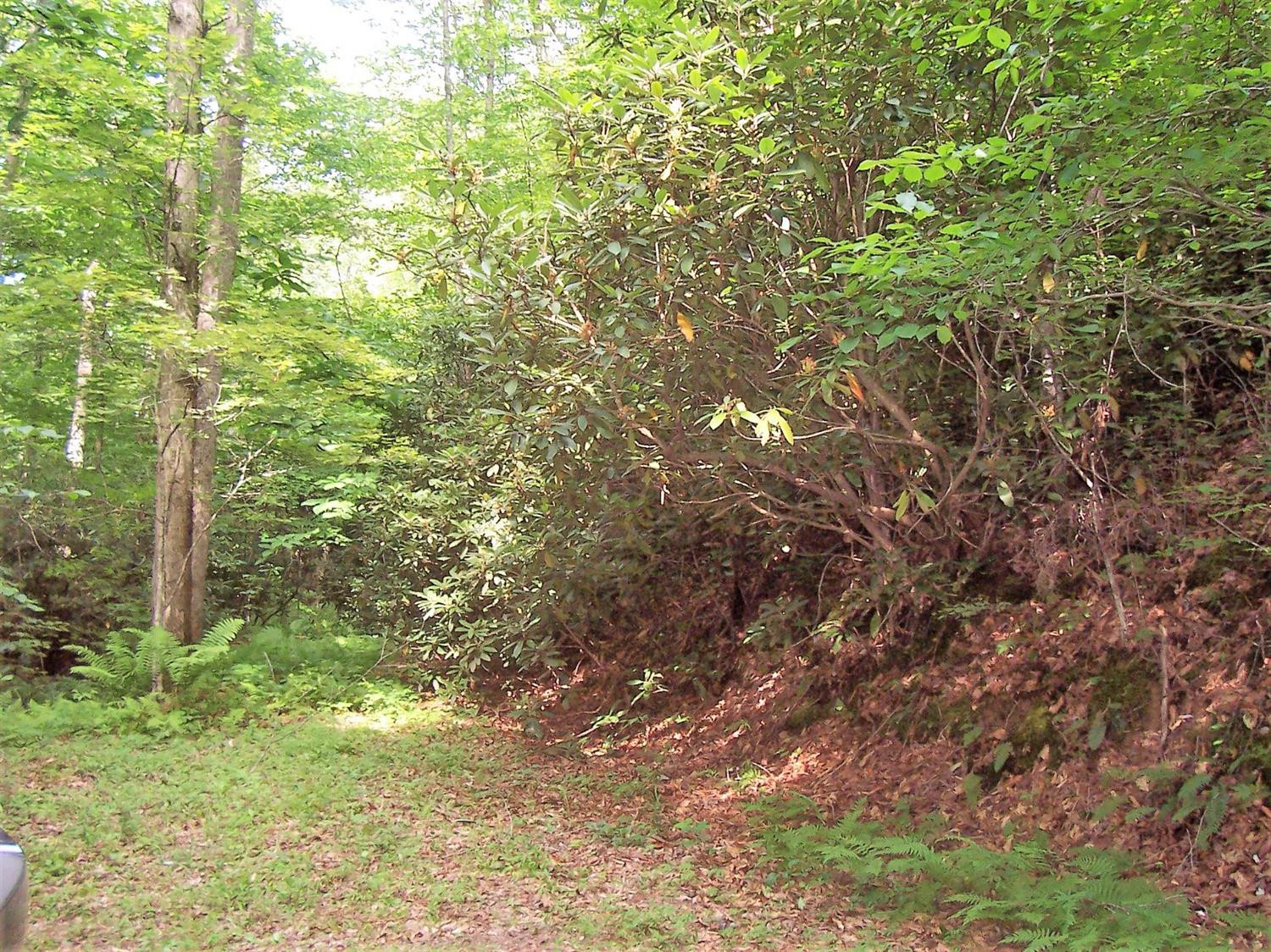 4236 Beech Timber Road Beattyville, KY 41311 - Photo 47 of 76 Photo 47