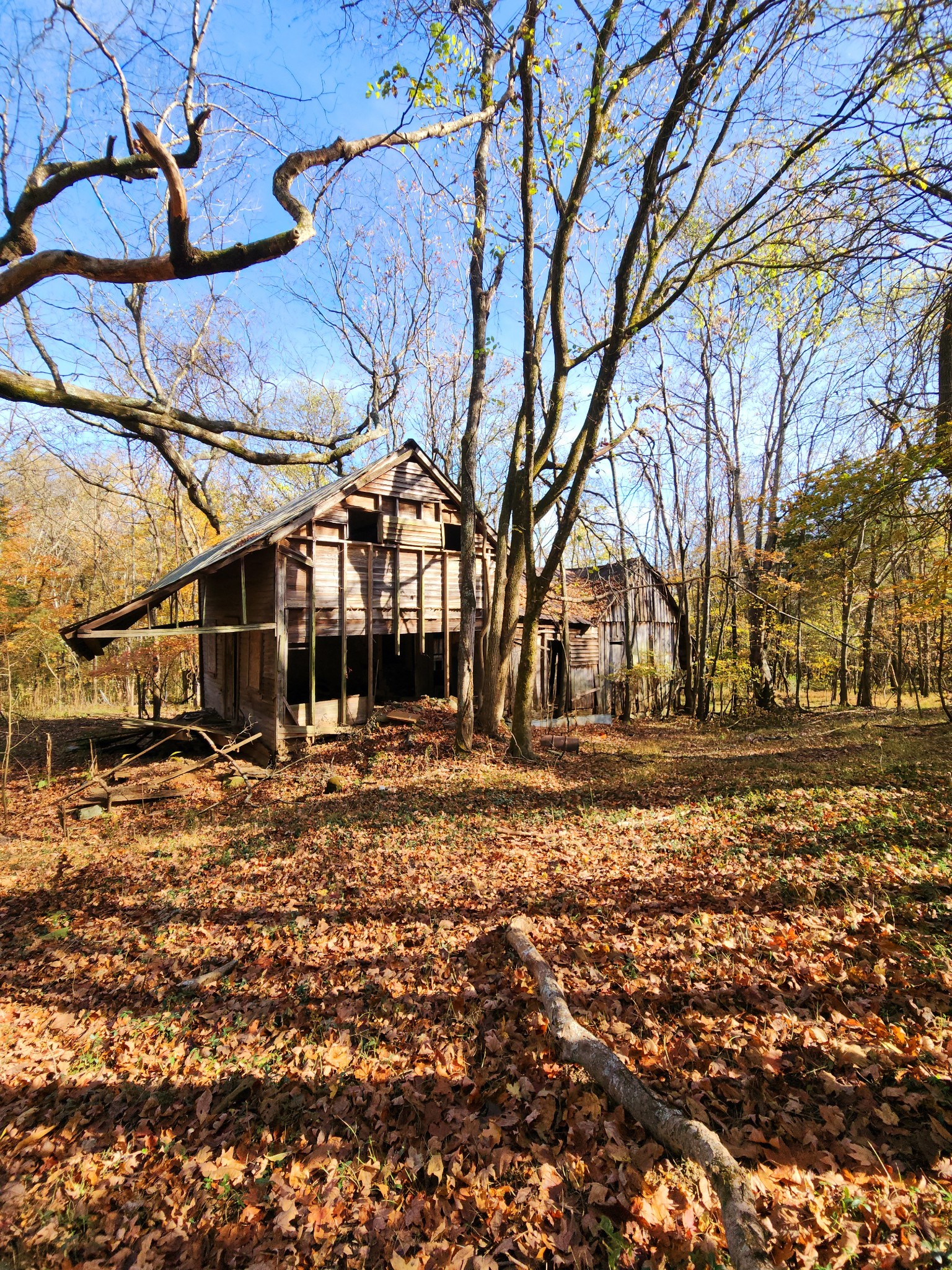 915 Gip Manning Road Clarksville, TN 37042 - Photo 42 of 42 Gallery Image 42