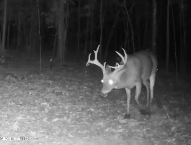 $148,000 | Howard Street, Marks, MS 38646