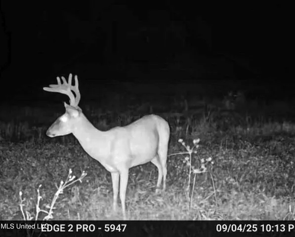 $148,000 | Howard Street, Marks, MS 38646