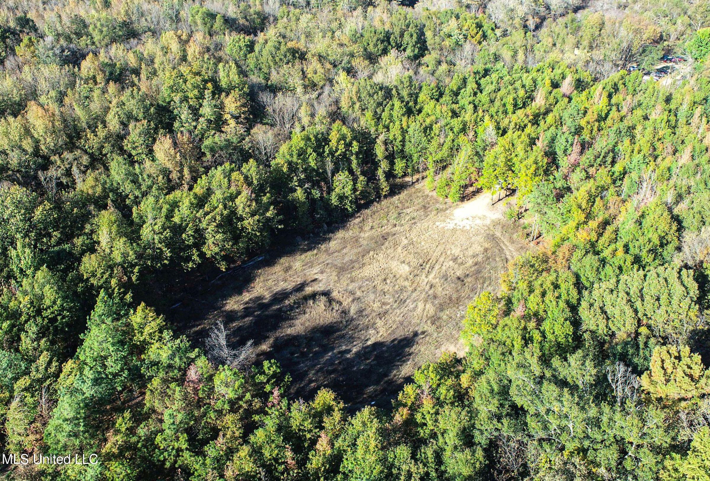 Howard Street Marks, MS 38646 - Photo 15 of 61 2cpqcfty7