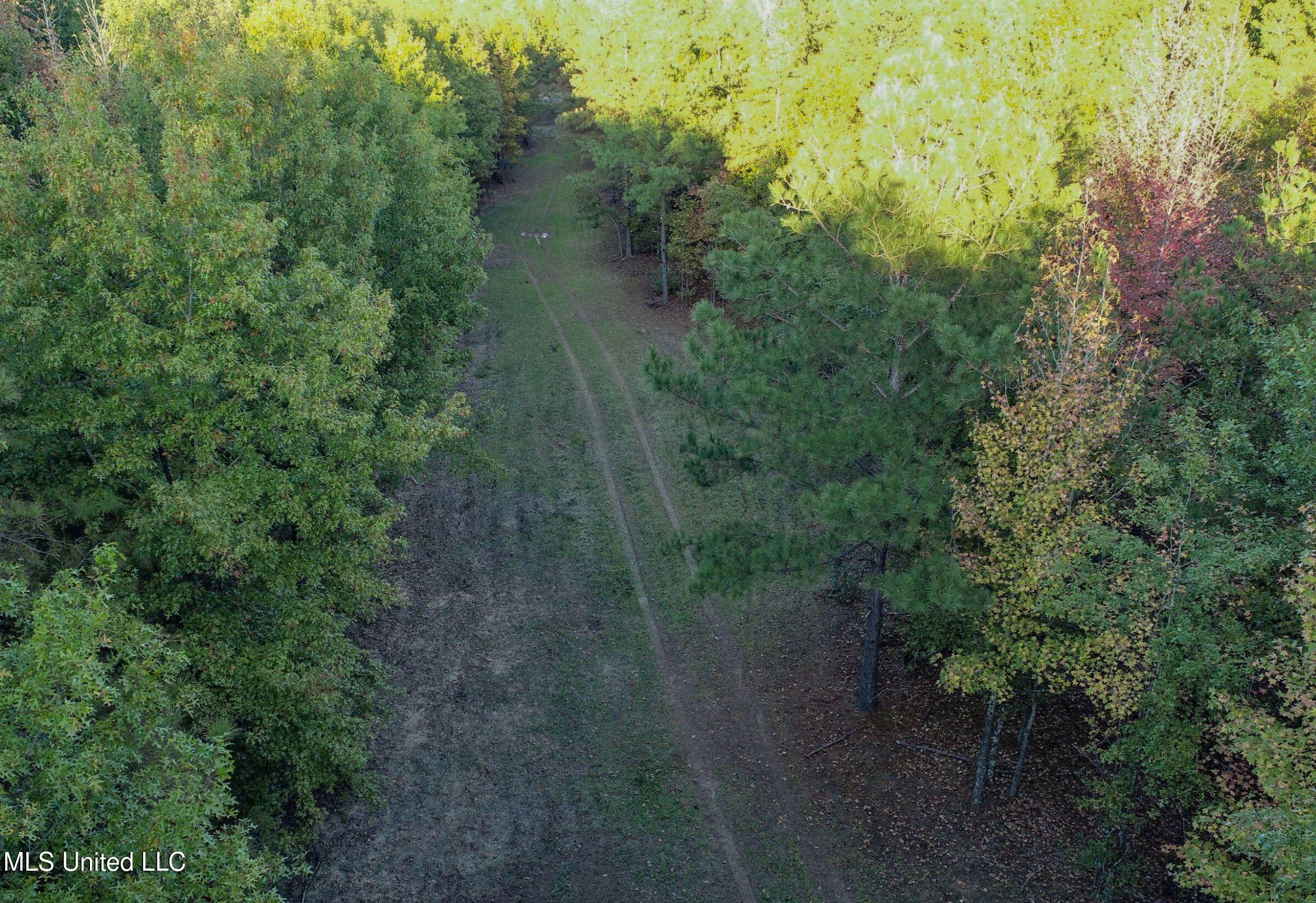 Howard Street Marks, MS 38646 - Photo 16 of 61 2cpqcfty16