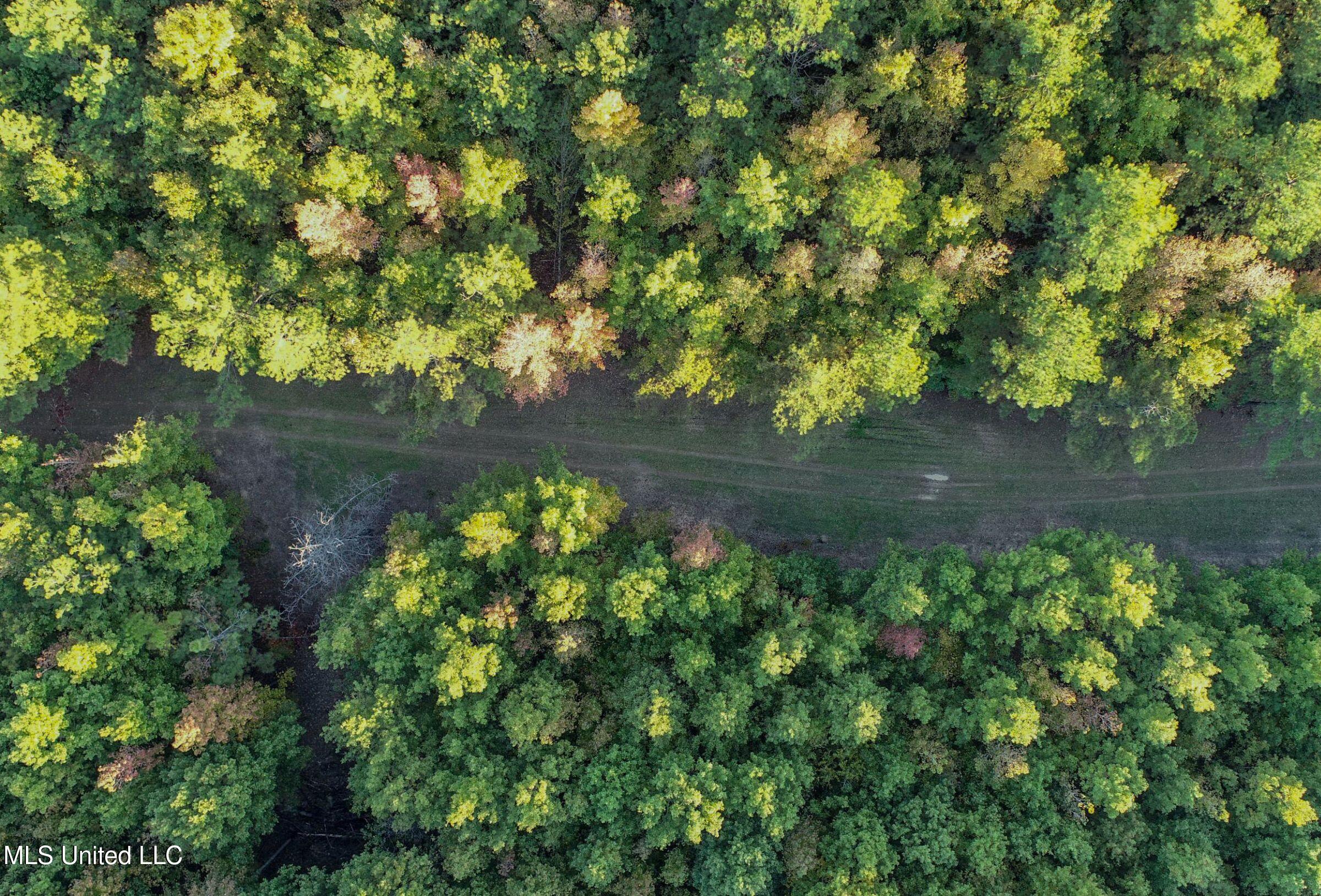 Howard Street Marks, MS 38646 - Photo 20 of 64 2cpqcfty18