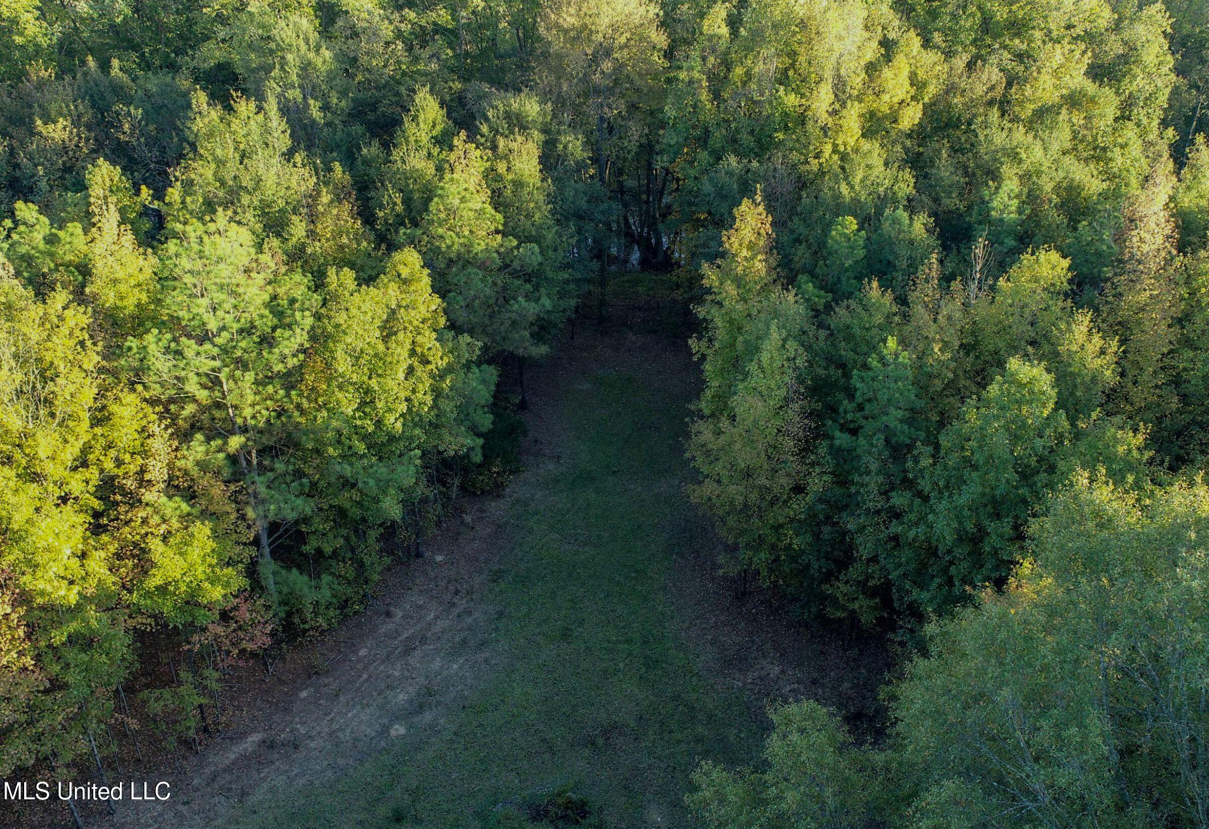 Howard Street Marks, MS 38646 - Photo 20 of 61 2cpqcfty24