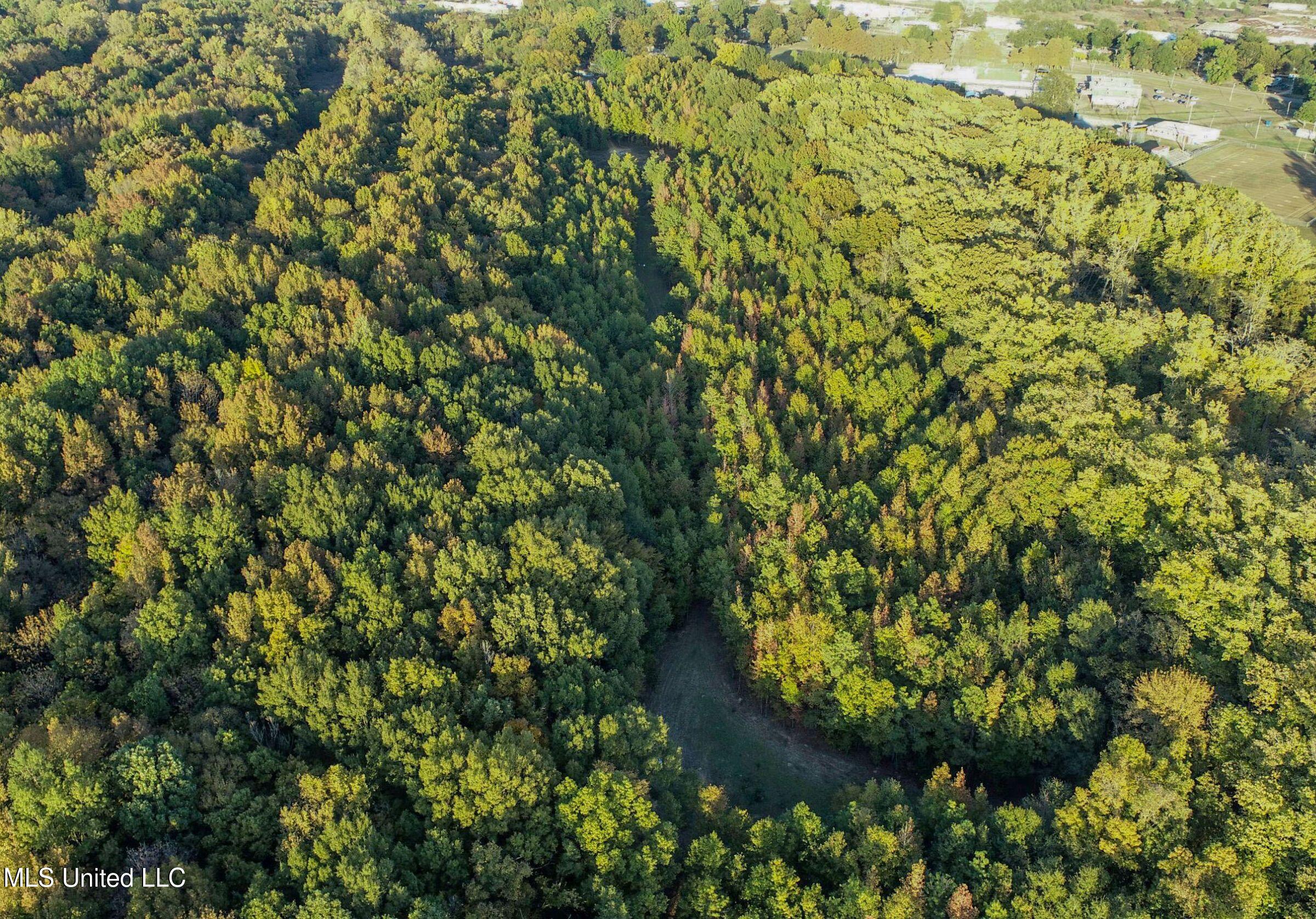 Howard Street Marks, MS 38646 - Photo 21 of 64 2cpqcfty19