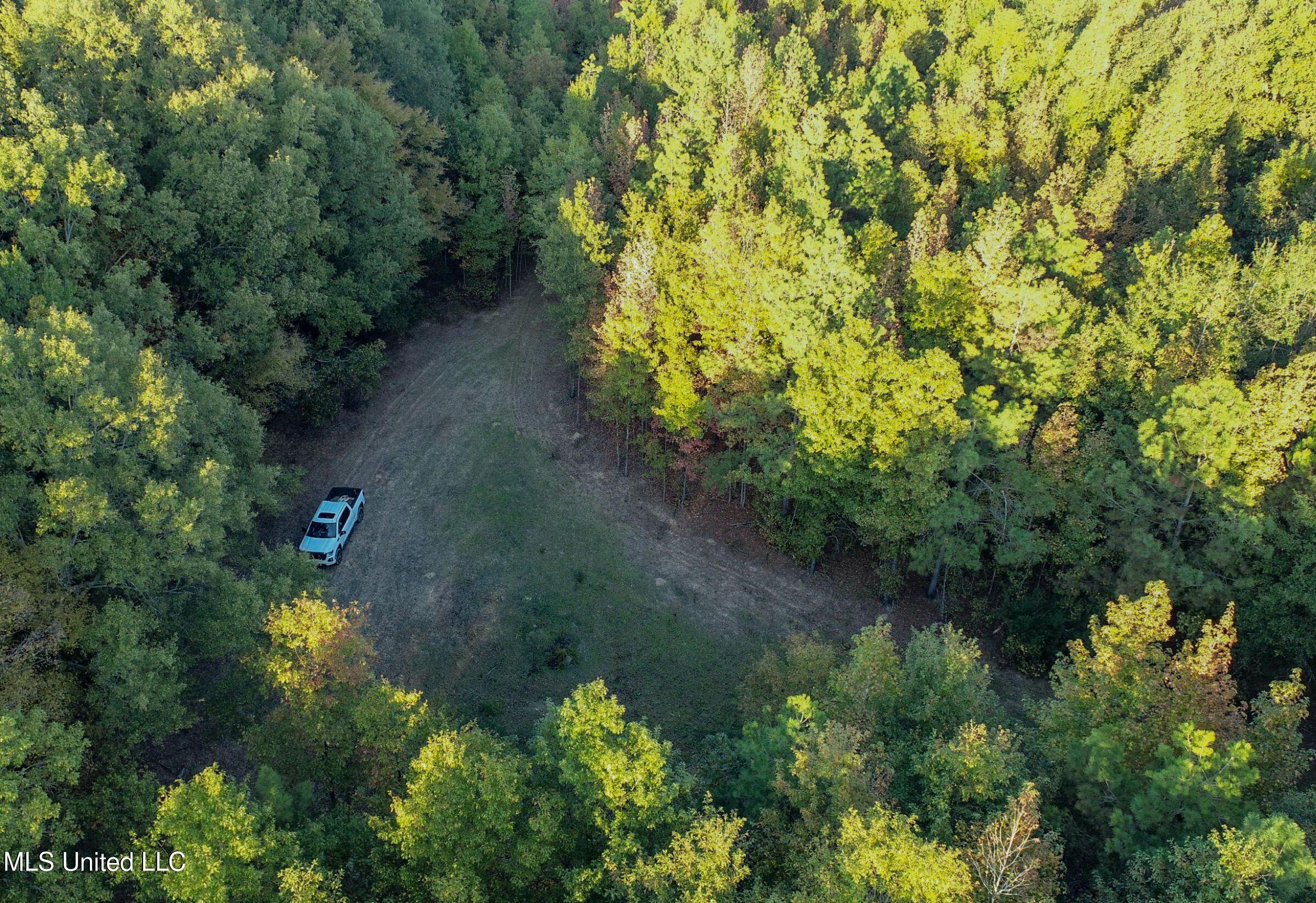 Howard Street Marks, MS 38646 - Photo 22 of 64 2cpqcfty22