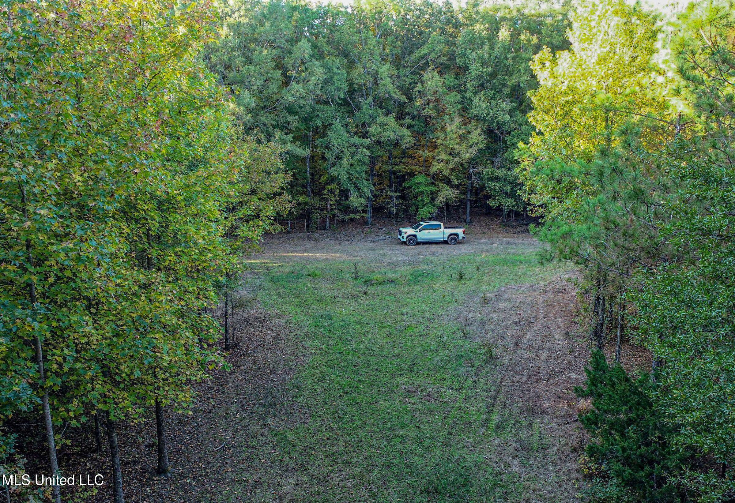 Howard Street Marks, MS 38646 - Photo 24 of 61 2cpqcfty32