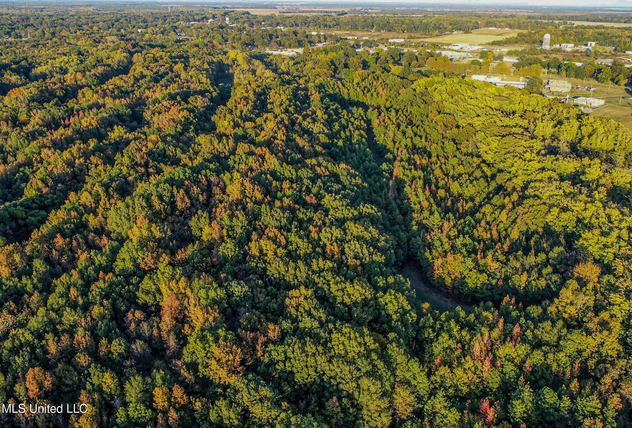 Howard Street Marks, MS 38646 - Photo 26 of 61 2cpqcfty34