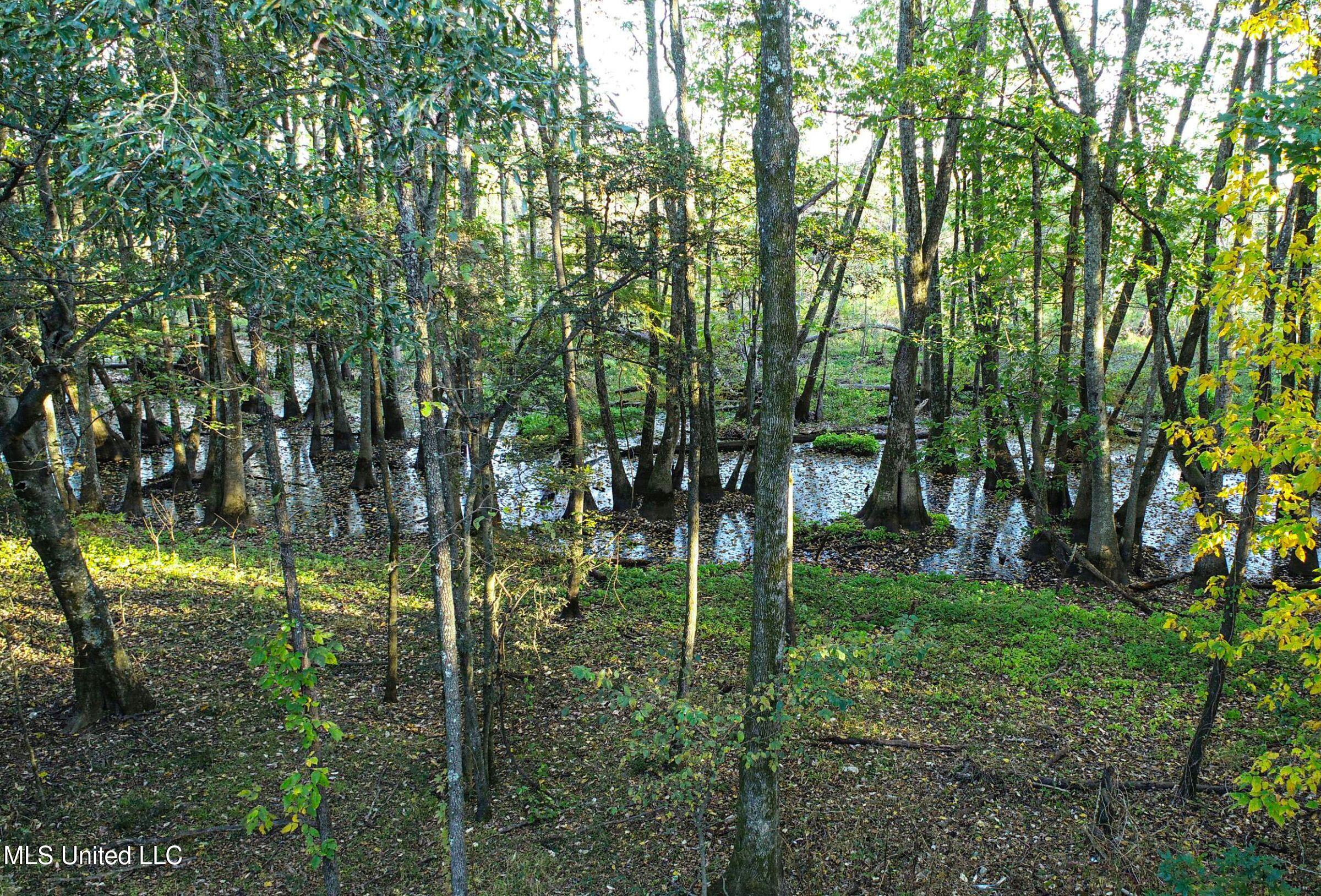 Howard Street Marks, MS 38646 - Photo 26 of 64 2cpqcfty30