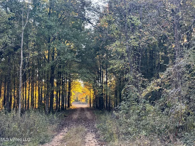 $168,000 | Howard Street, Marks, MS 38646