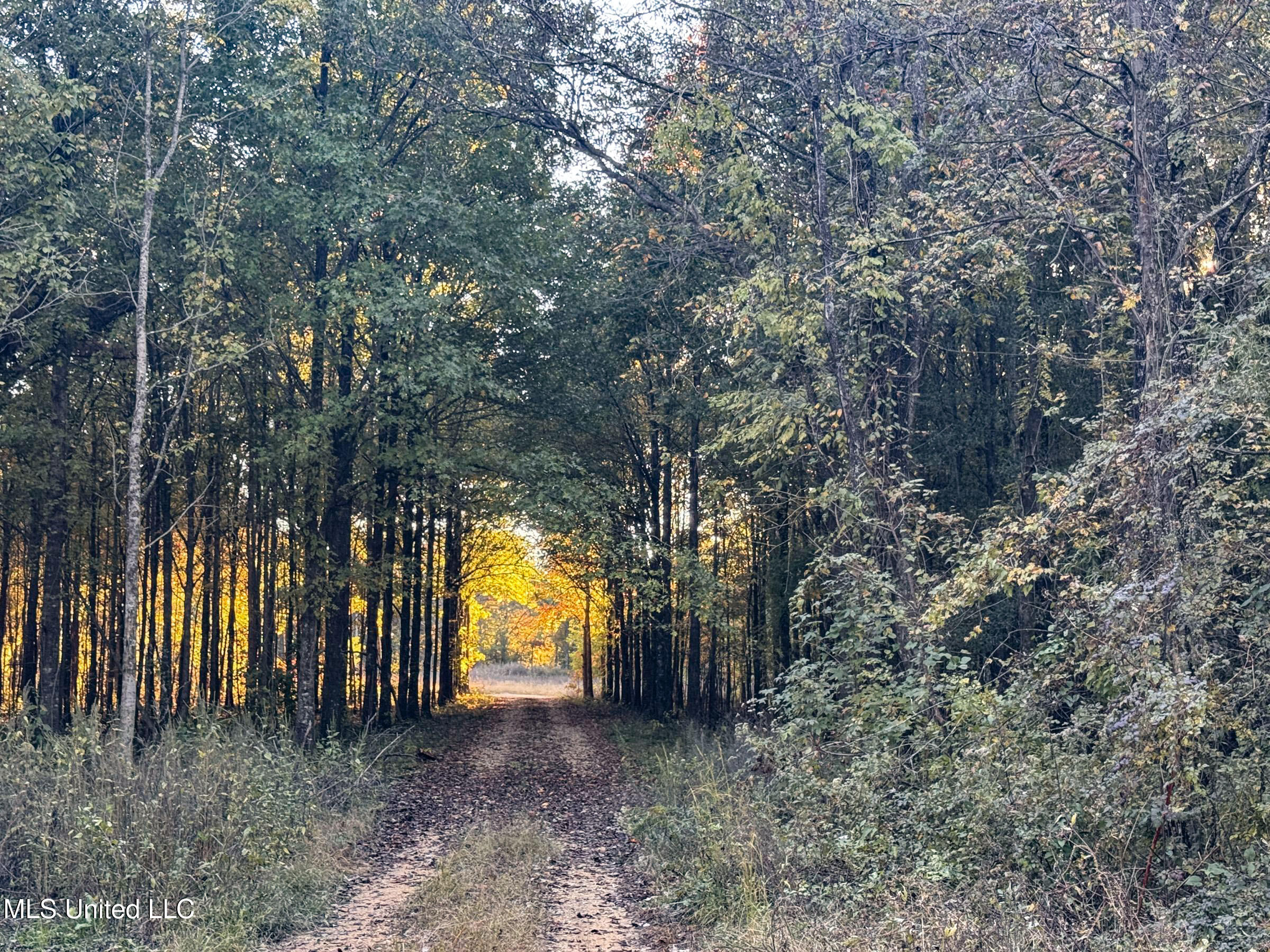 Howard Street Marks, MS 38646 - Photo 30 of 61 3cpqcfty3