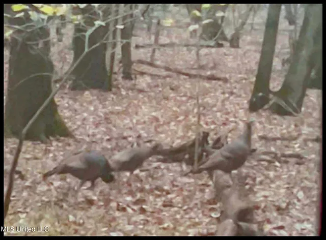 $148,000 | Howard Street, Marks, MS 38646