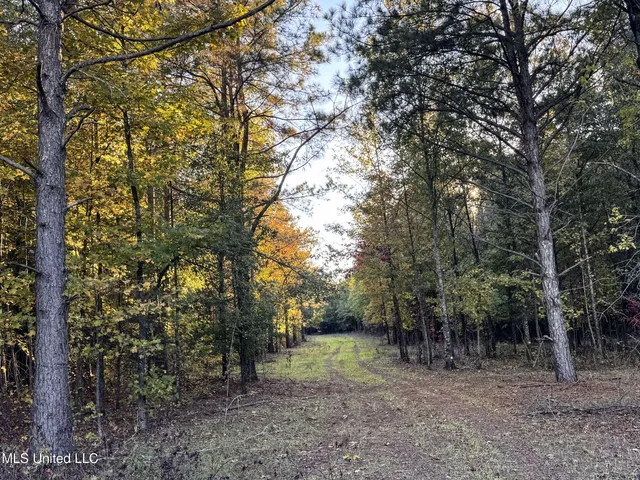 $168,000 | Howard Street, Marks, MS 38646