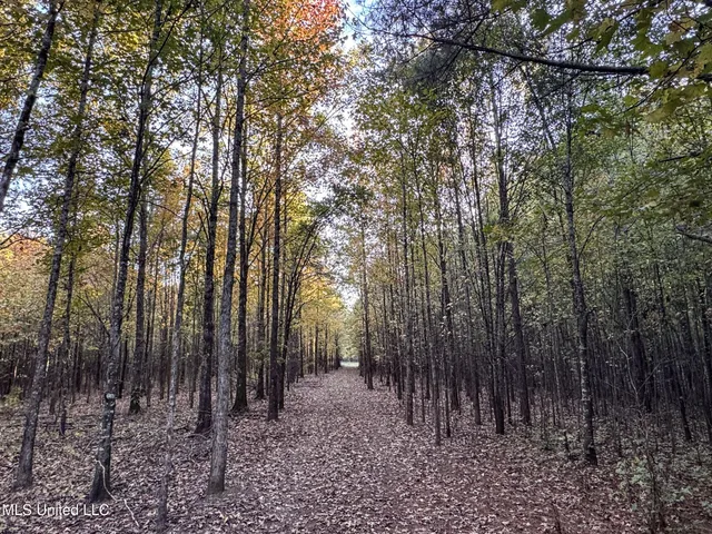 $168,000 | Howard Street, Marks, MS 38646