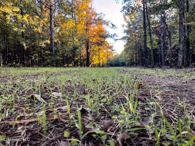 $148,000 | Howard Street, Marks, MS 38646