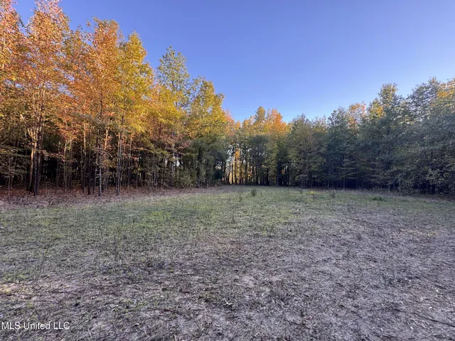 $168,000 | Howard Street, Marks, MS 38646