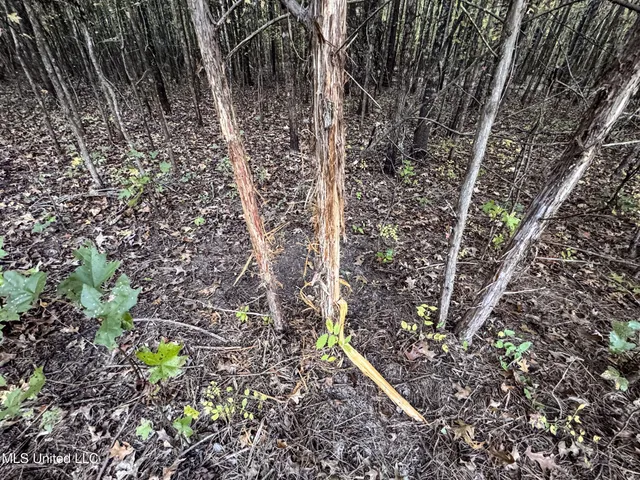 $148,000 | Howard Street, Marks, MS 38646