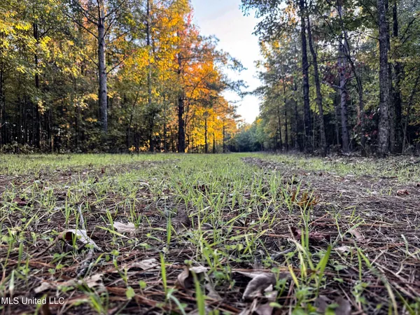 $147,500 | Howard Street, Marks, MS 38646