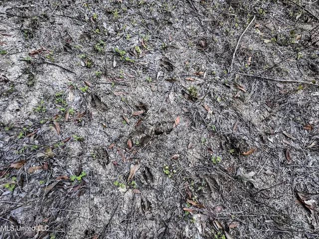 $168,000 | Howard Street, Marks, MS 38646