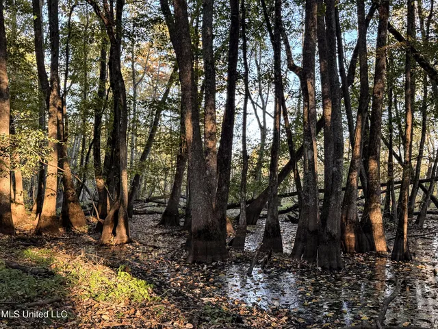 $168,000 | Howard Street, Marks, MS 38646