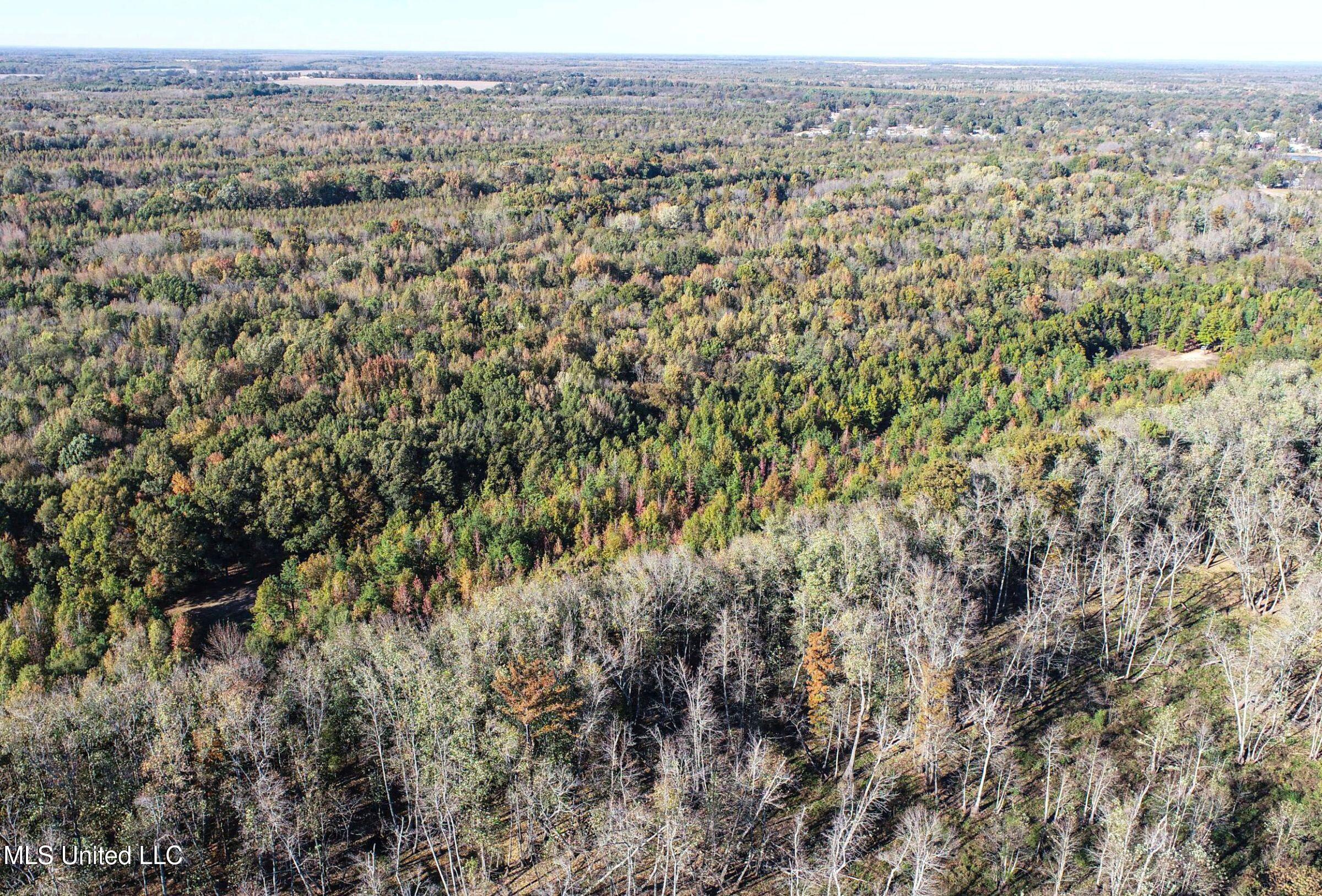 Howard Street Marks, MS 38646 - Photo 4 of 61 2cpqcfty2