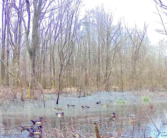 $147,500 | Howard Street, Marks, MS 38646