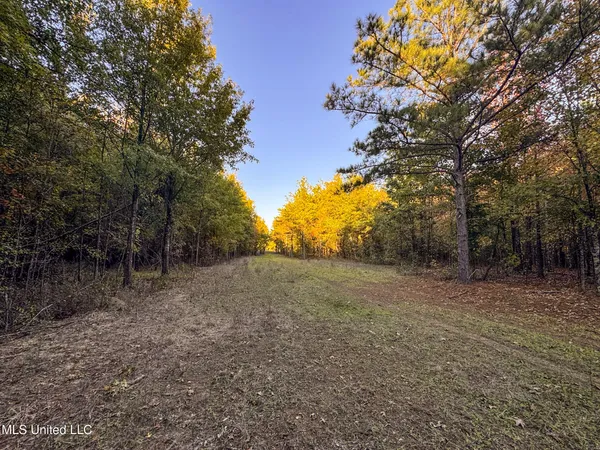 $147,500 | Howard Street, Marks, MS 38646