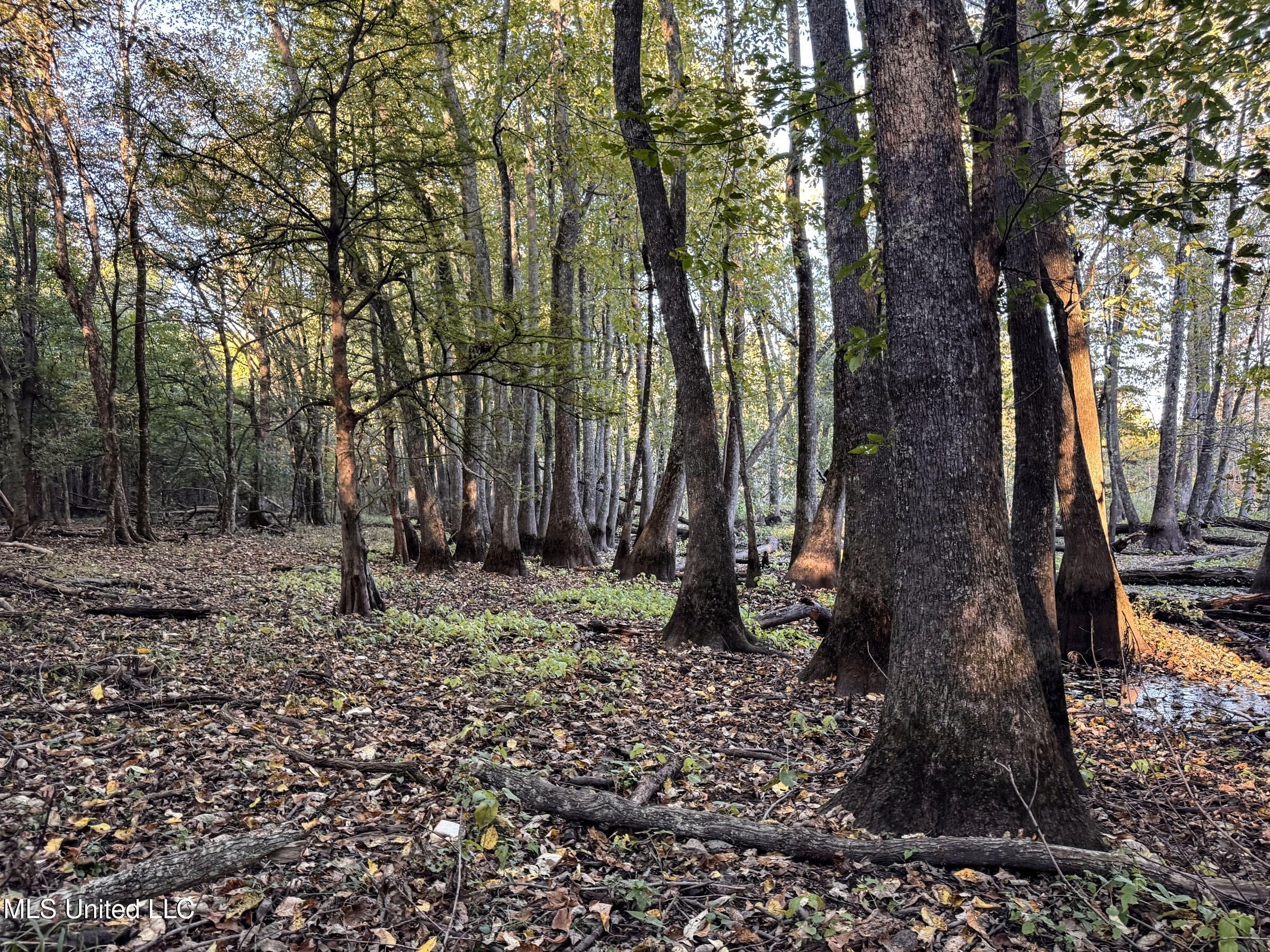Howard Street Marks, MS 38646 - Photo 42 of 61 3cpqcfty22