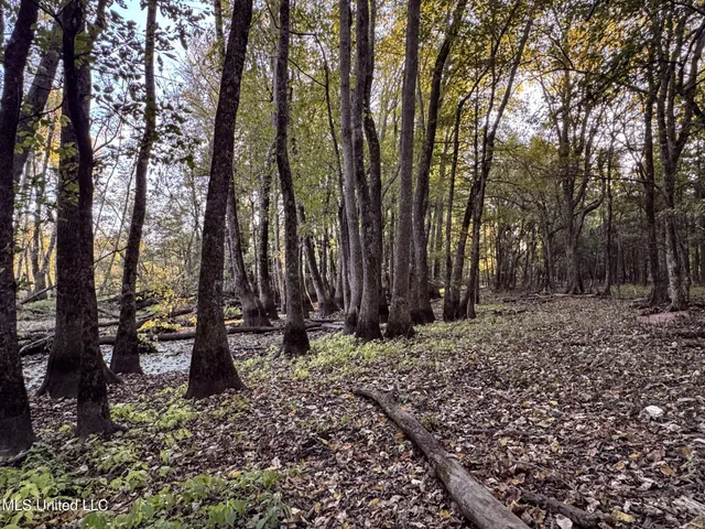 $168,000 | Howard Street, Marks, MS 38646