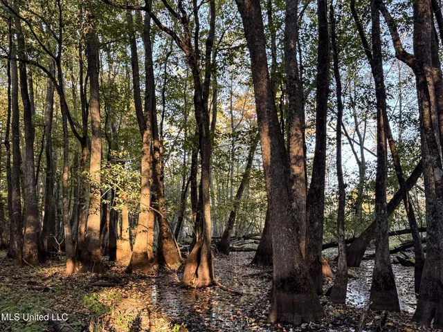 $148,000 | Howard Street, Marks, MS 38646