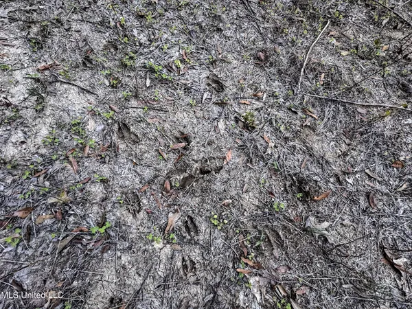 $147,500 | Howard Street, Marks, MS 38646