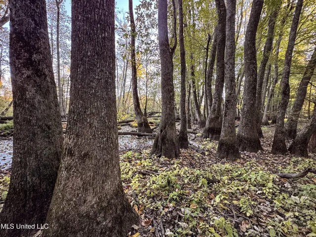 $168,000 | Howard Street, Marks, MS 38646