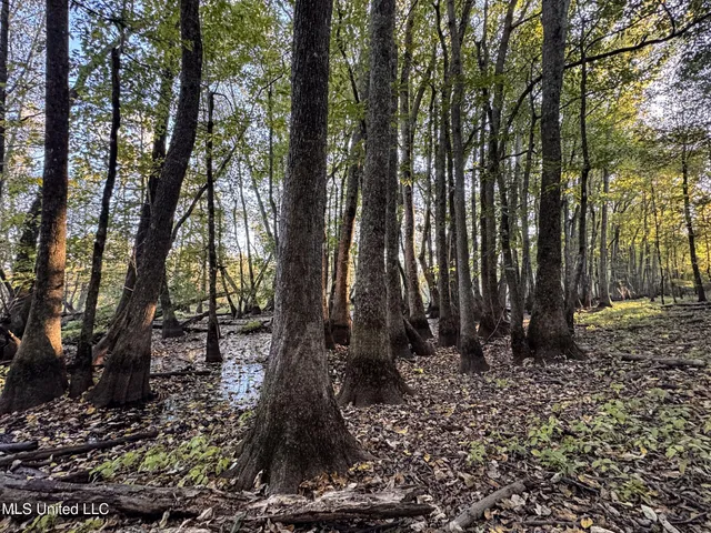 $168,000 | Howard Street, Marks, MS 38646