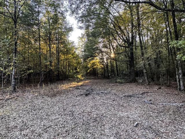 $168,000 | Howard Street, Marks, MS 38646