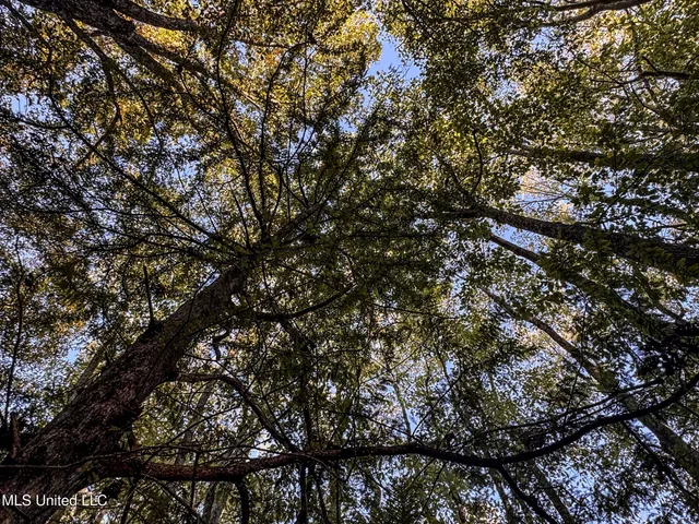 $148,000 | Howard Street, Marks, MS 38646