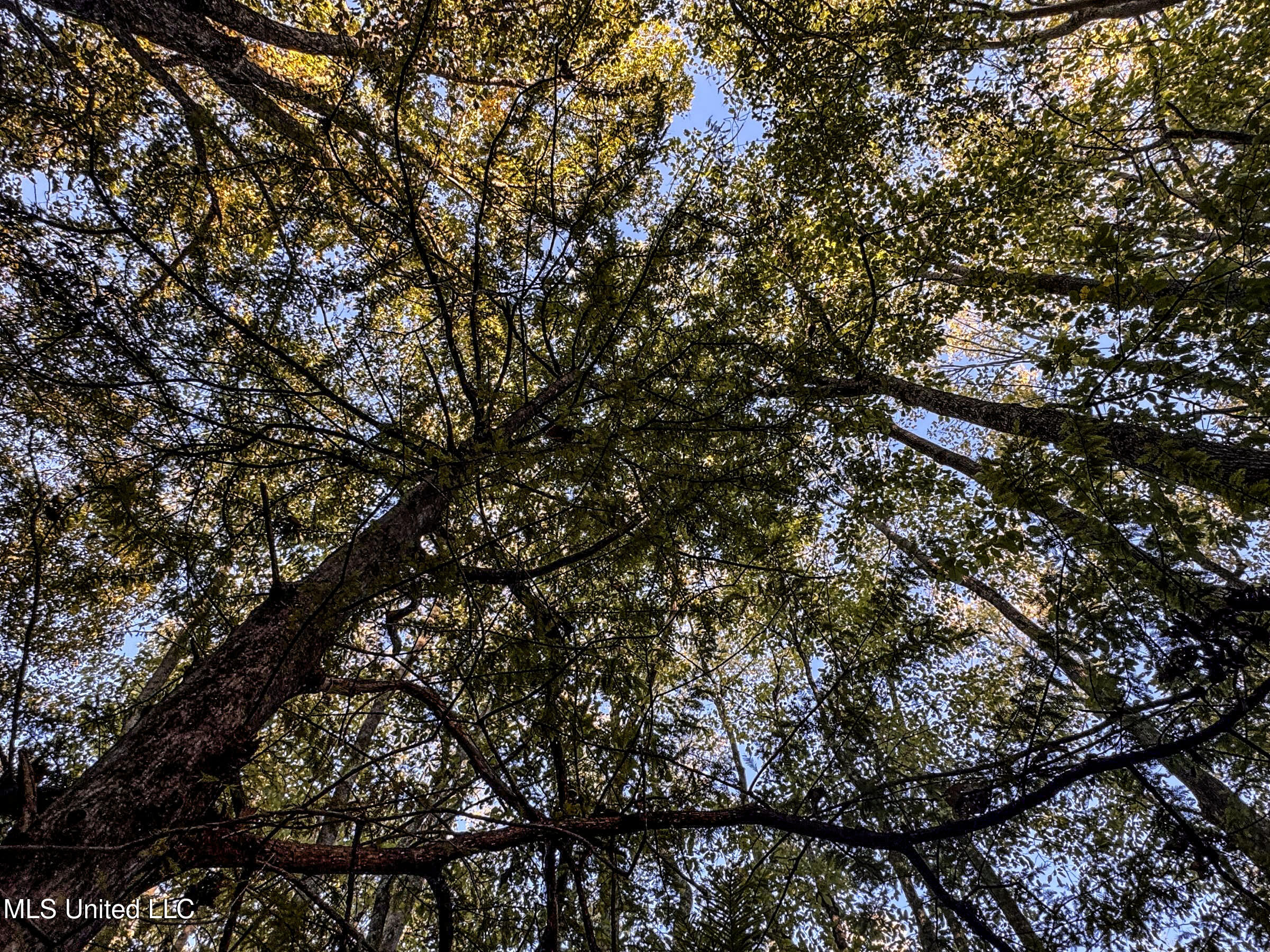 Howard Street Marks, MS 38646 - Photo 49 of 64 3cpqcfty37