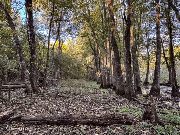 $147,500 | Howard Street, Marks, MS 38646