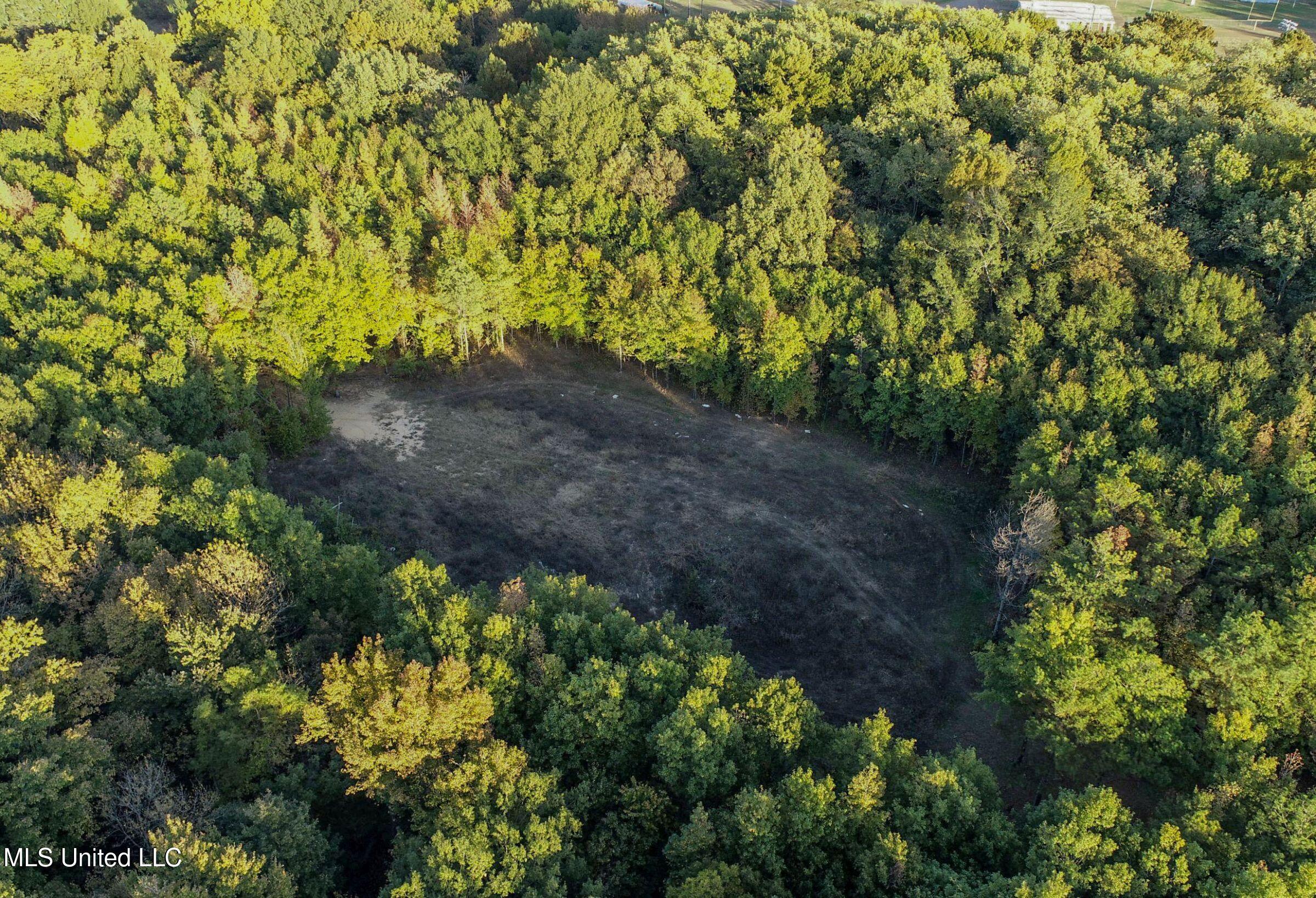 Howard Street Marks, MS 38646 - Photo 5 of 61 2cpqcfty8