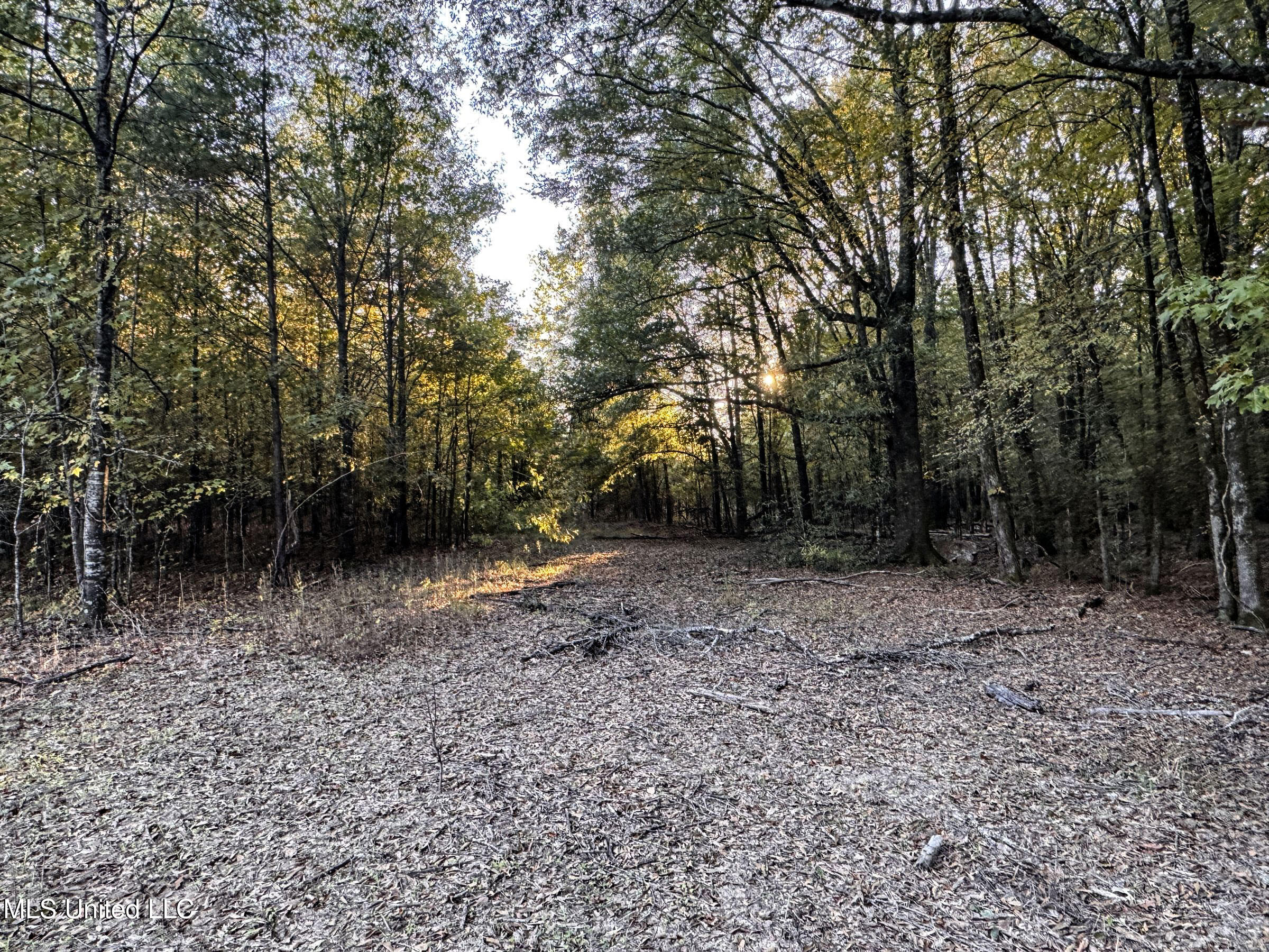 Howard Street Marks, MS 38646 - Photo 52 of 64 3cpqcfty43