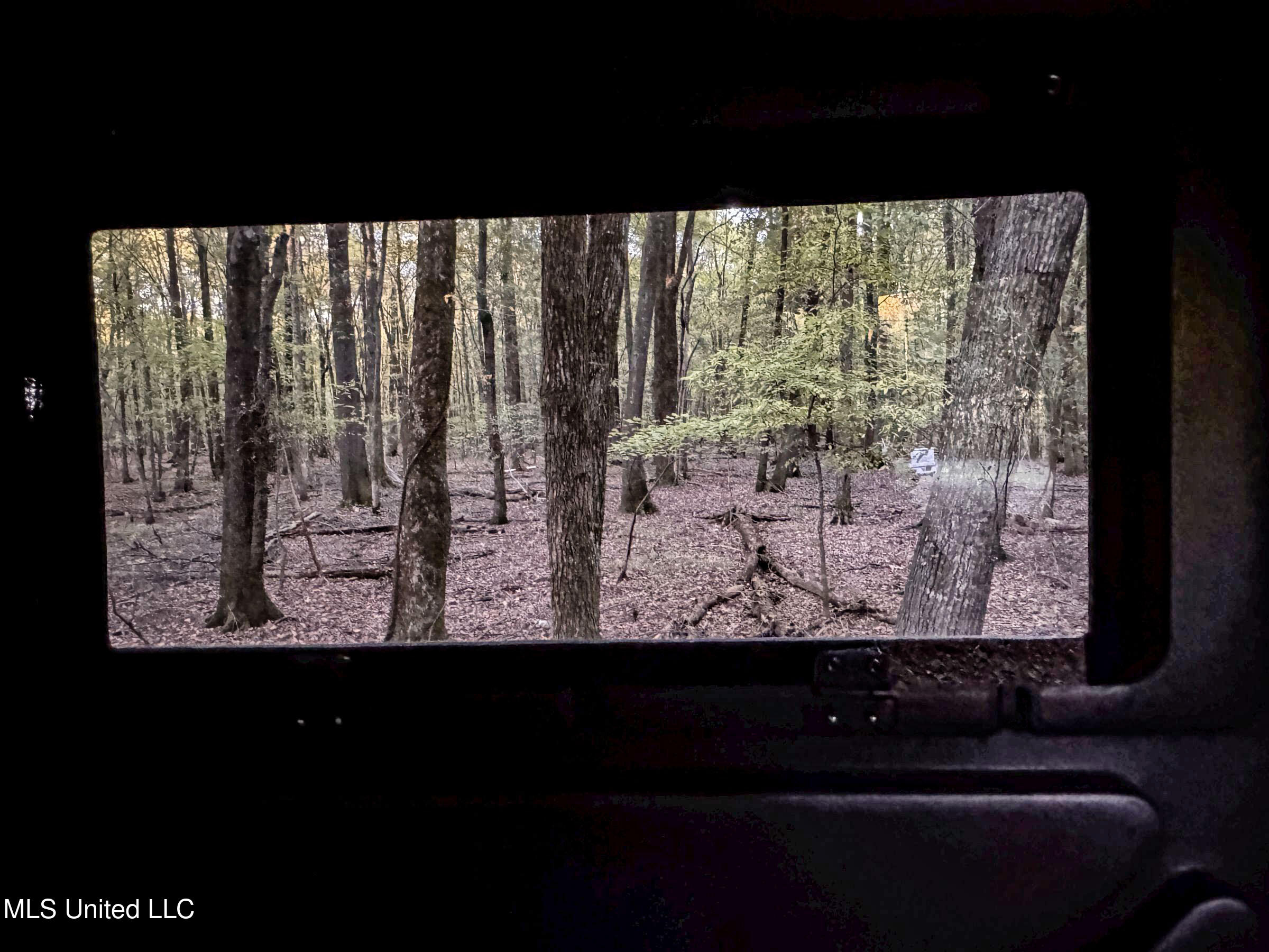 Howard Street Marks, MS 38646 - Photo 53 of 61 3cpqcfty49