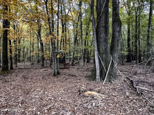 $148,000 | Howard Street, Marks, MS 38646